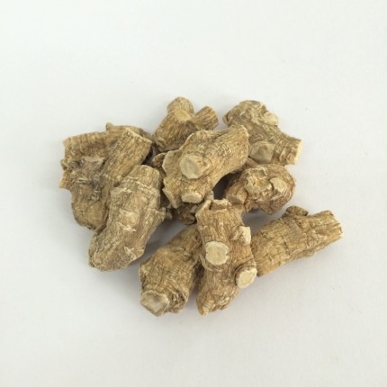 80粒短台泡參 (每兩)